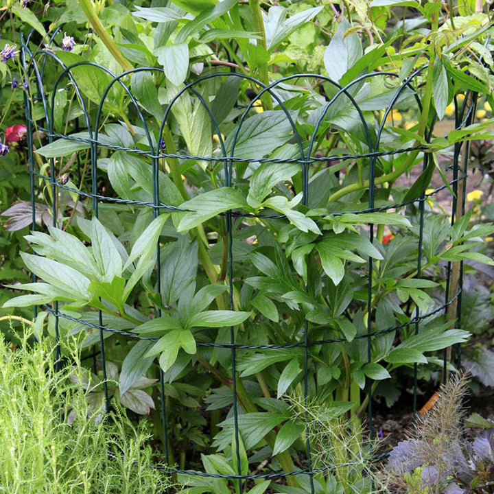 Hoop-Top Fencing 0.25m x 10m