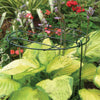 All Round Support Frame D30cm x H46cm