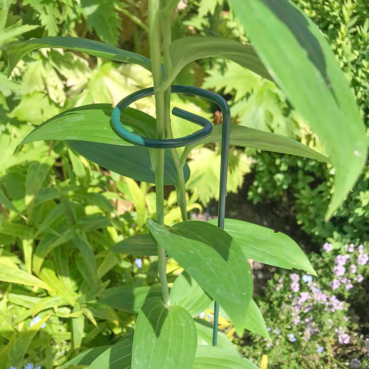 Single Stem Support H61cm x W6cm - (4)