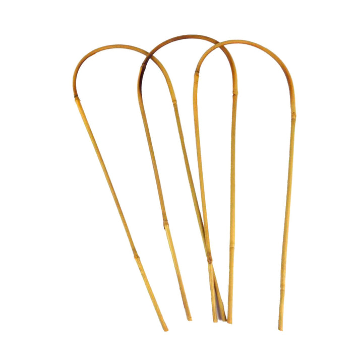 Bamboo Loop Support 1200mm - (3)