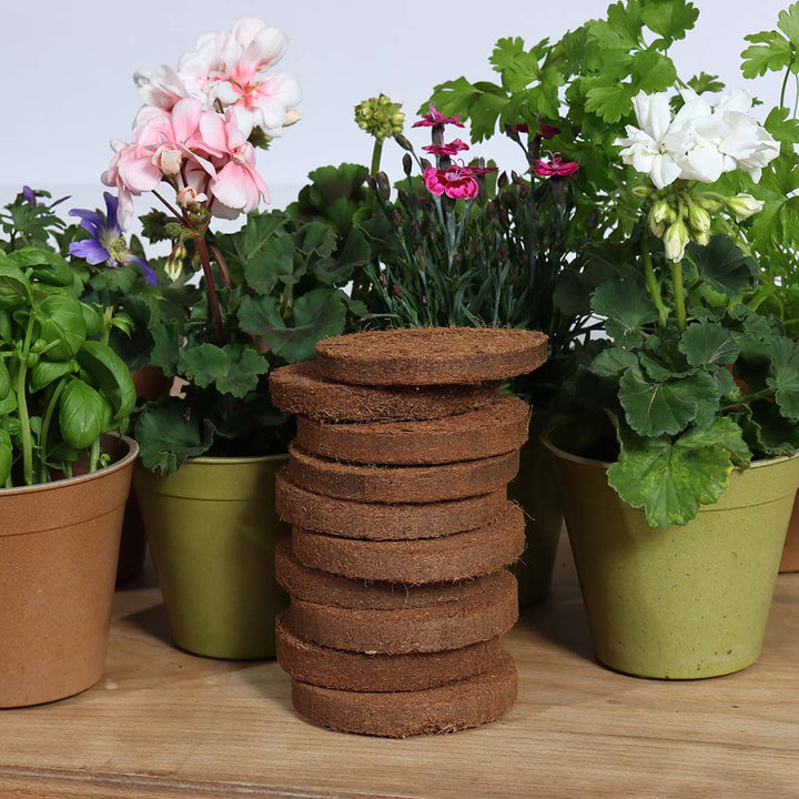 growlite compost discs pile in situ with bamboo pots