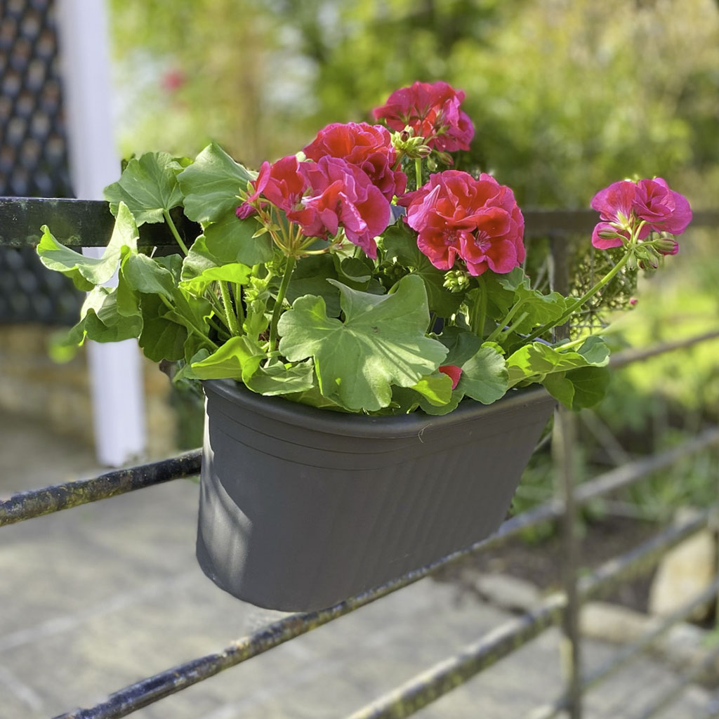 Double Balcony Hanger 380mm