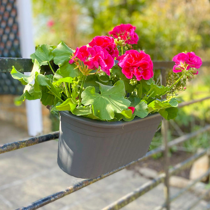 Double Balcony Hanger 380mm