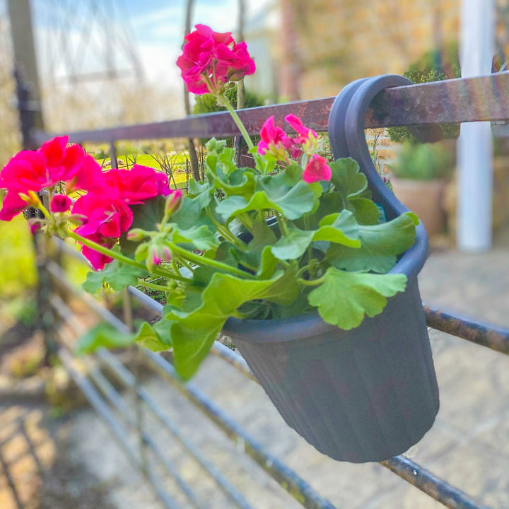 Single Balcony Hanger 220mm