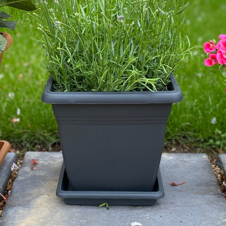 Square Pot Anthracite 255 x 254mm
