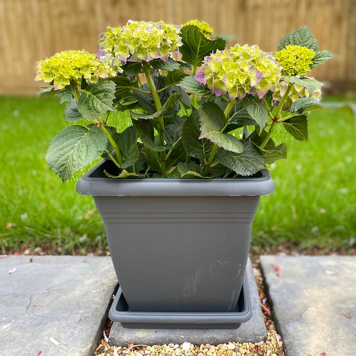 Square Pot Anthracite 320 x 300mm