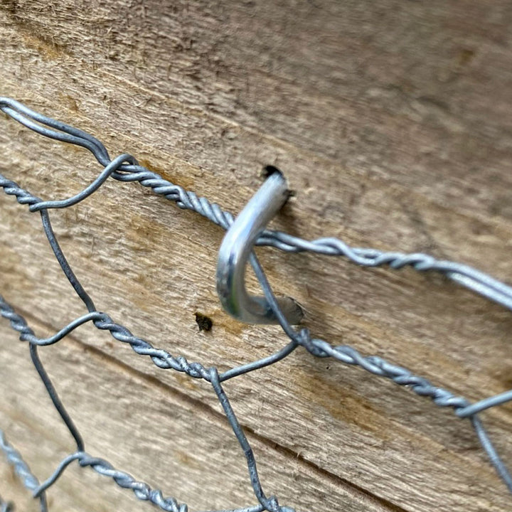 Galvanised Staples 15mm - (50)