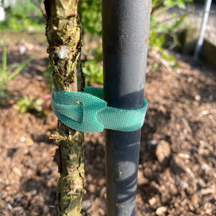 Hook & Loop Plant Tie 12mm x 7.6m