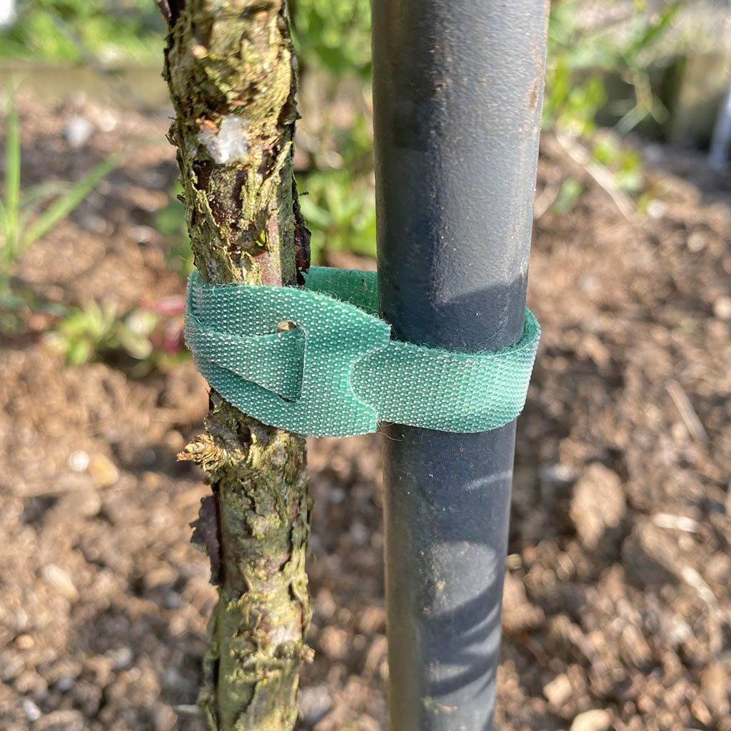 Hook & Loop Plant Ties 150mm (10)