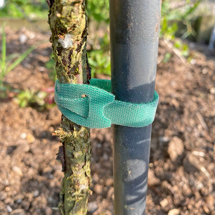 Hook & Loop Plant Ties 150mm (10)