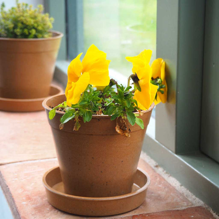 Bamboo Pot Terracotta 4" - (5)