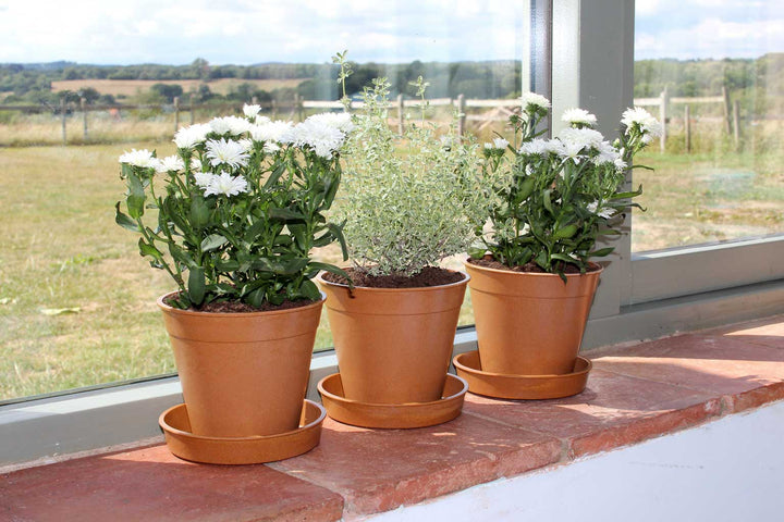 Bamboo Saucer Terracotta 5" - (5)