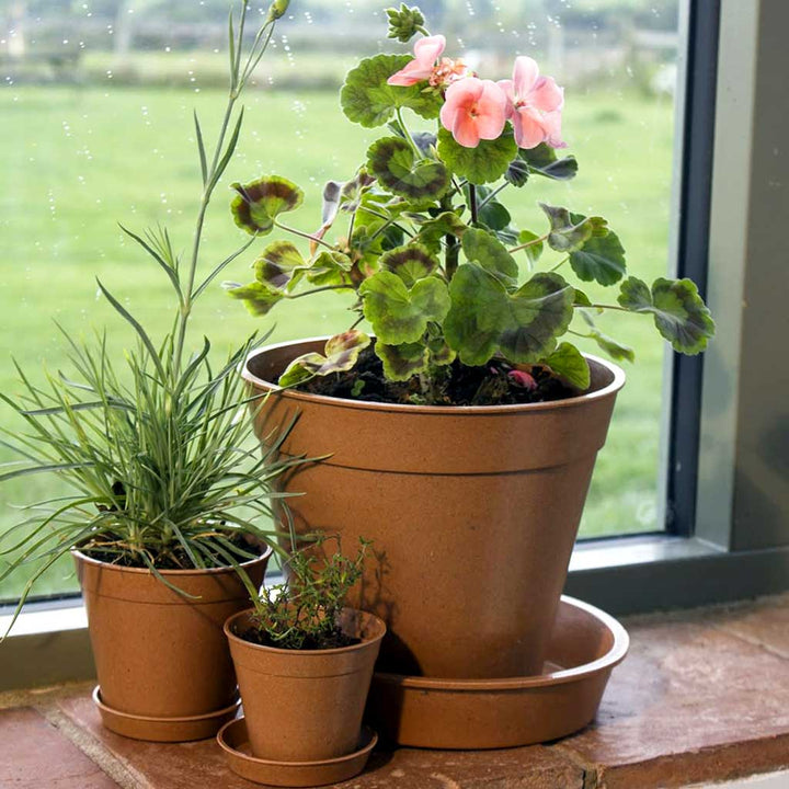 Bamboo Saucer Terracotta 8" - (5)