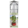 Tomato Climbing Patio Planter D45 x H1.1cm