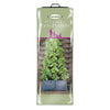 Pea & Bean Patio Planter L60cm x D30cm x W30cm