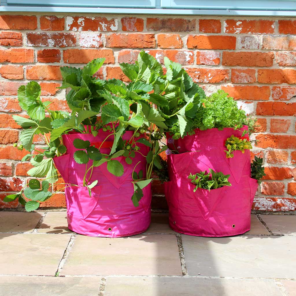 Strawberry & Herb Patio Planter 35cm Ø x D55cm