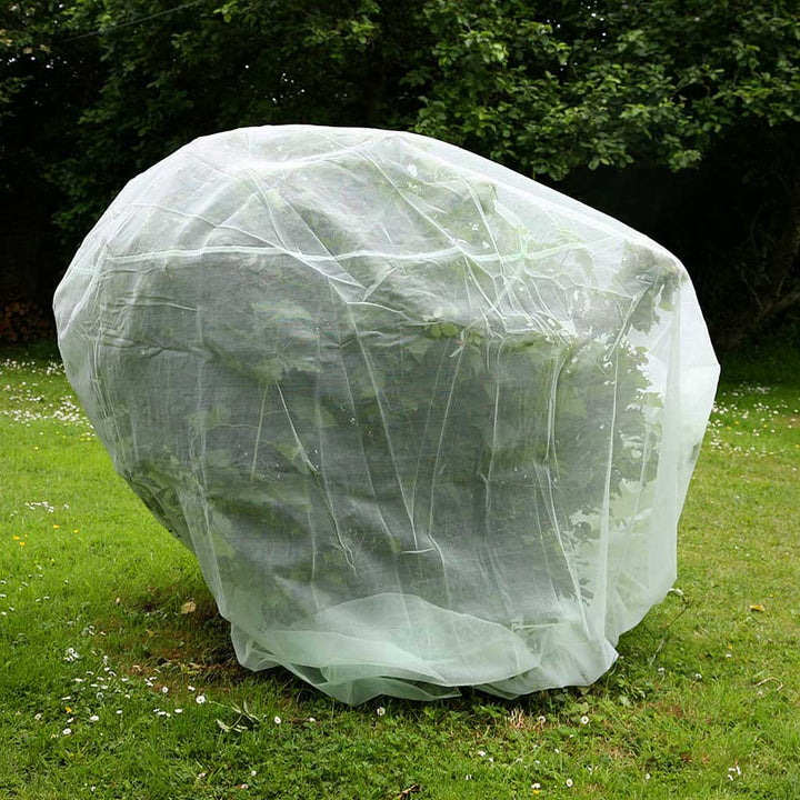 Fruit Bush Protection Net