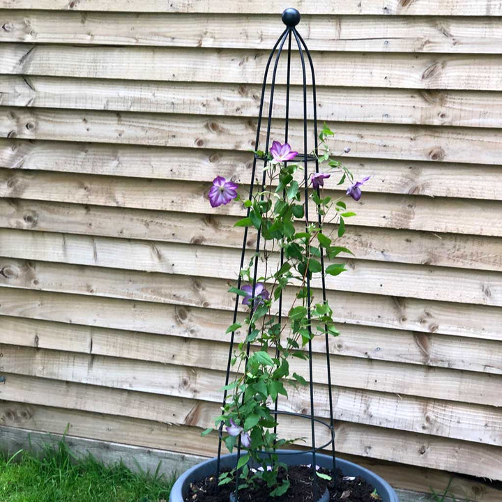 Queen Classic Black Metal Garden Obelisk