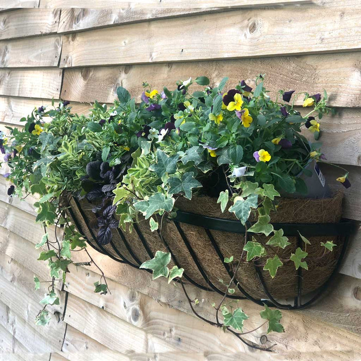 Oxford Deluxe Wall Trough with Coco Liner 36" 90cm
