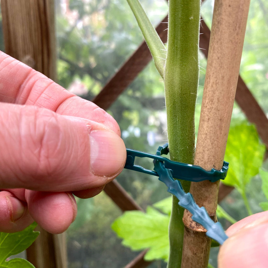 Plastic Vine Ties 6 1/4" 17cm