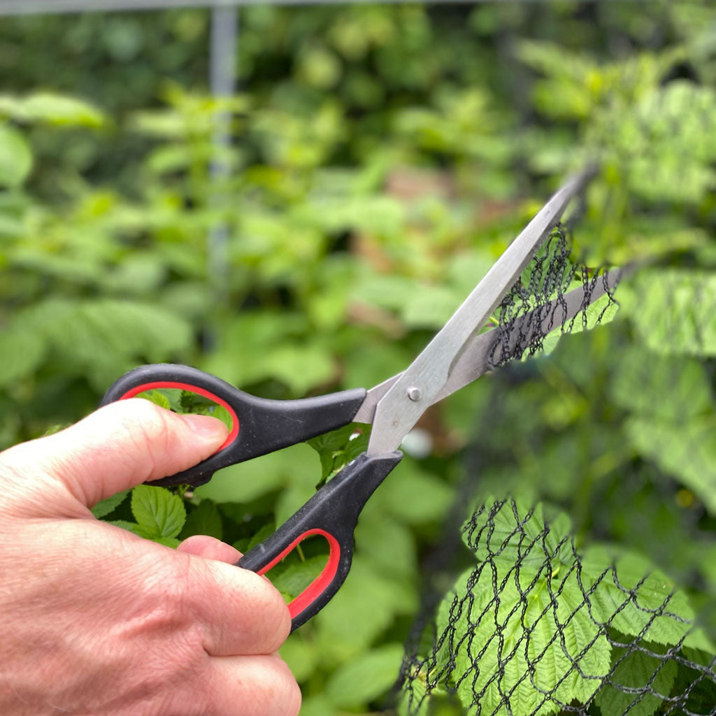 Garden Scissors