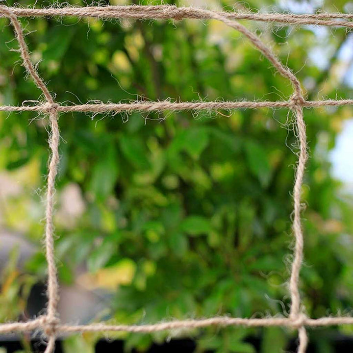 Jute Plant Support Netting 2m x 5m (Box)