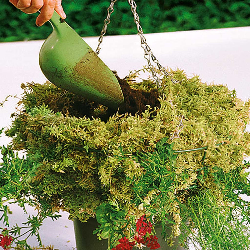 Moss Bag Size 2 (For 2 x 12" Baskets)