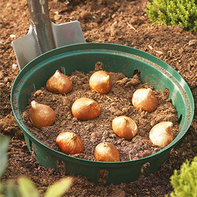Bulb Baskets Round Small 26cm - (3)