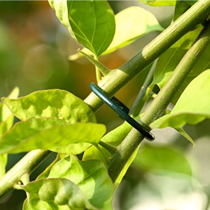 Plant Rings Plastic Coated Ø25mm (100)
