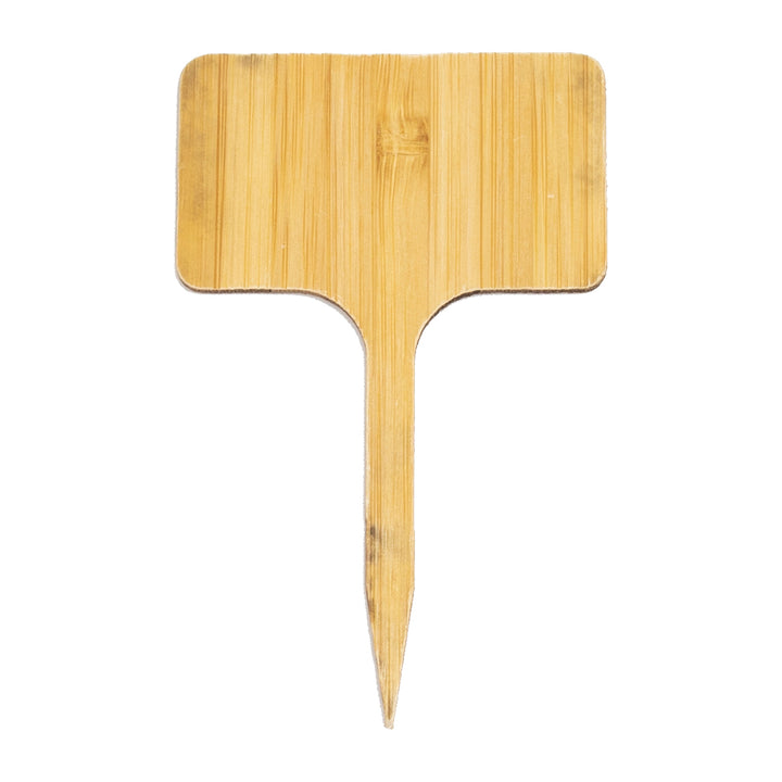Bamboo T Labels 10cm x 6cm - (10) - Own Brand