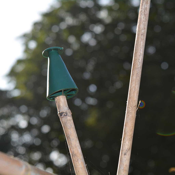Cane Caps Multi Purpose