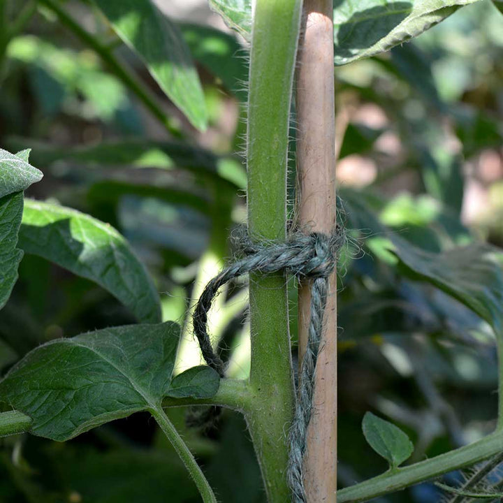 Biodegradable Jute Twine
