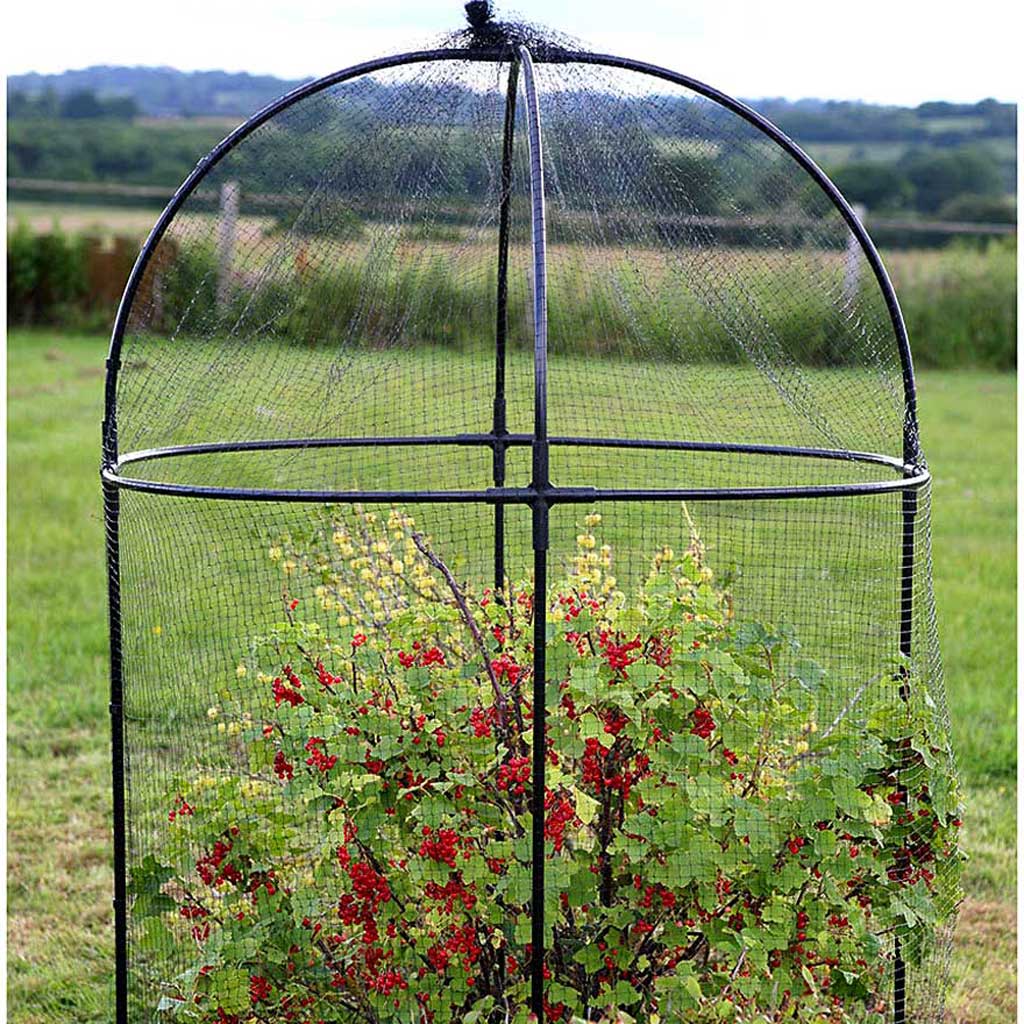 Steel Round Fruit Cage L1m x W1m x H1.5m