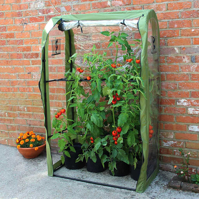 Tomato Crop-Booster Poly Cover