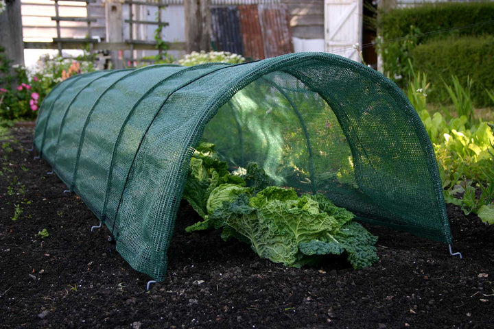 Giant Easy Net Tunnel
