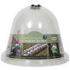 Original Victorian Bell Cloche 34cm Ø x H26cm - (3)