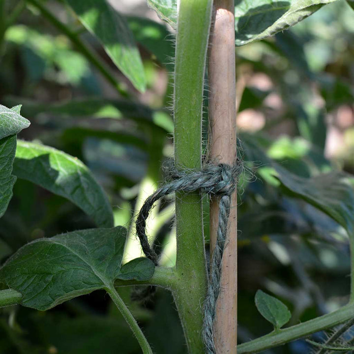 Biodegradable Multi-purpose Ball of String (approx 75m/spool)