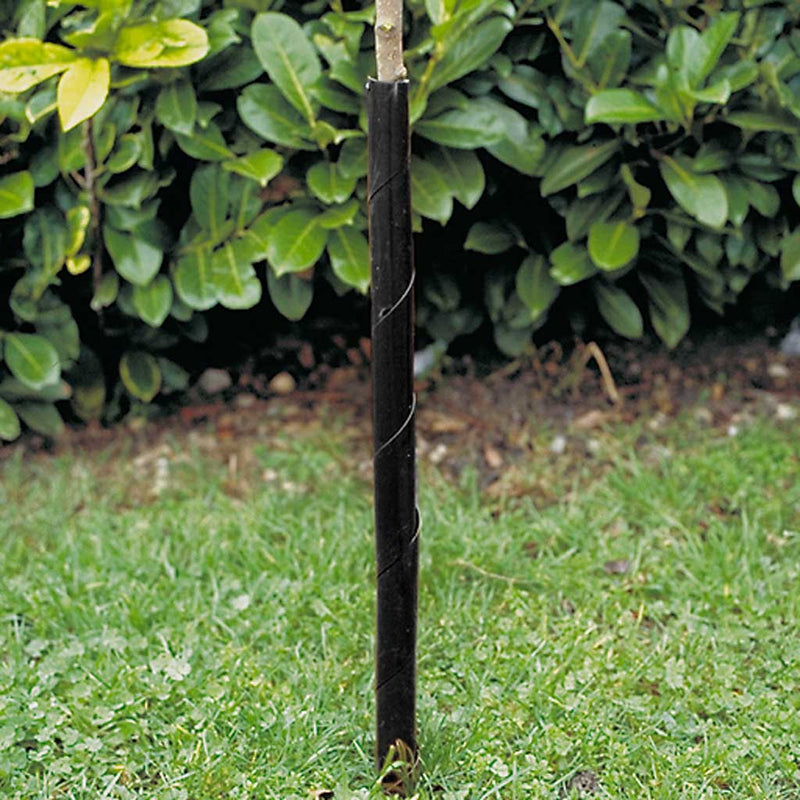 Spiral Tree Guards - BULK (250)