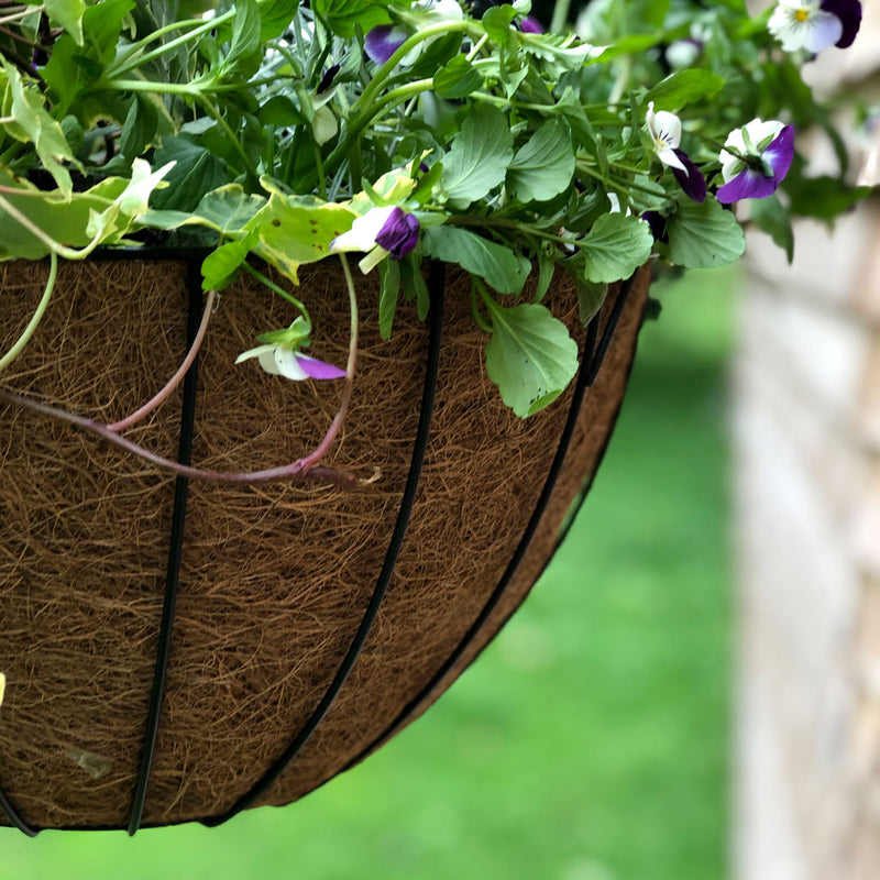 York Deluxe Hanging Basket with Coco Liner 12" 30cm